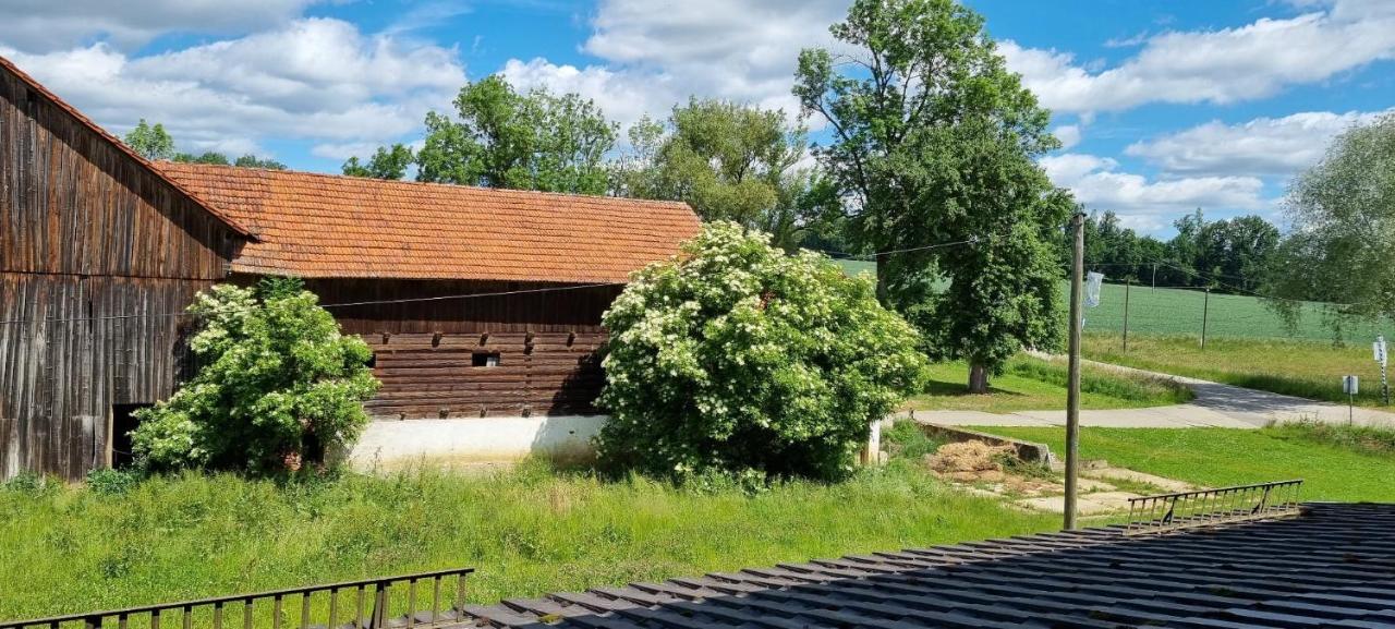 瓦尔德肖克兰德古特酒店 Altfraunhofen 外观 照片